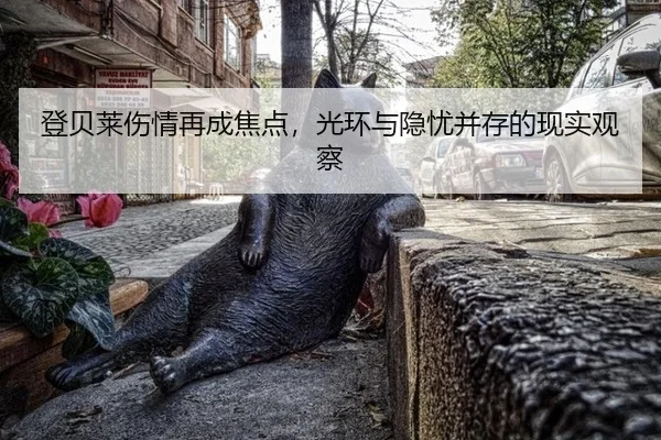deng-bei-lai-shang-qing-zai-cheng-jiao-dian-guang-huan-yu-yin-you-bing-cun-de-xian-shi-guan-cha-2-329.jpg
